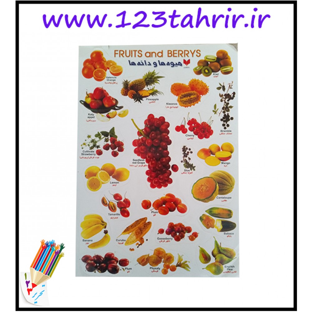 برچسب آموزشی / عمده/